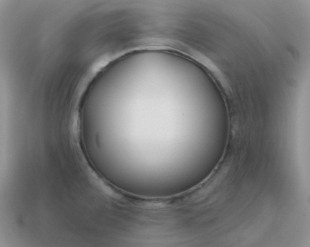 X0000113021472200909101828