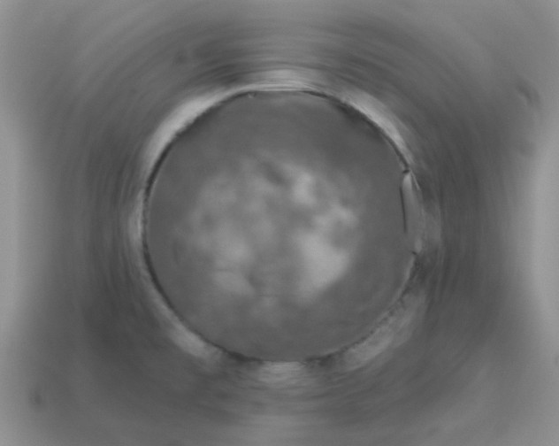 X0000113021477200909101828