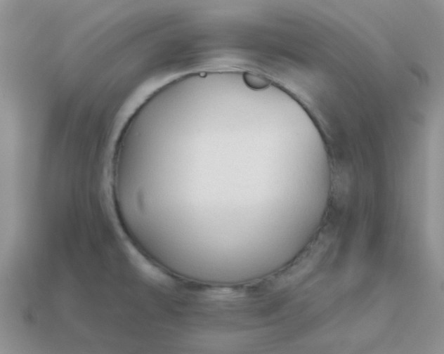 X0000113021478200909101828