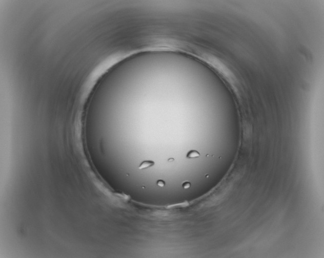 X0000113021480200909101828