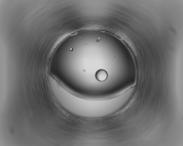 X0000113021481200909101828