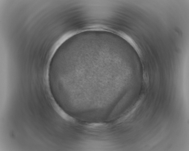 X0000113021482200909101828