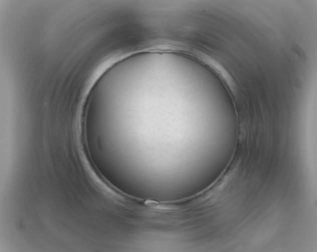 X0000113021483200909101828