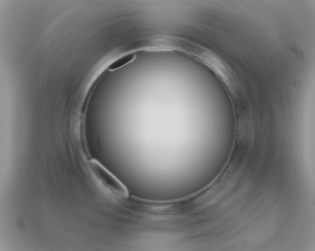 X0000113021484200909101828
