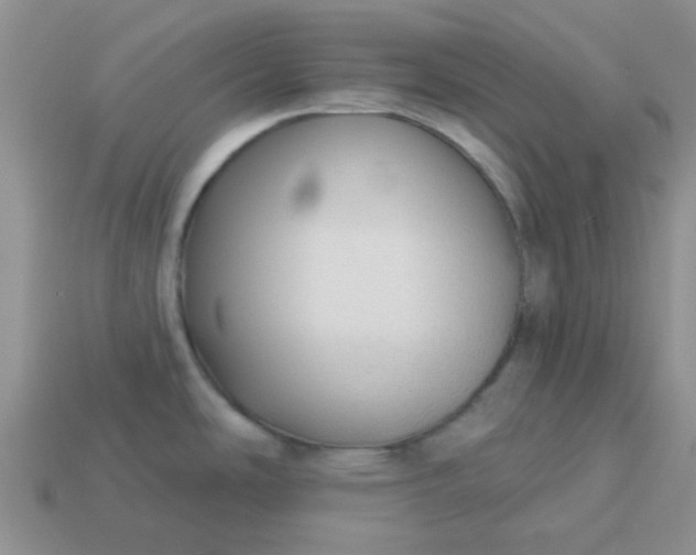 X0000113021486200909101828