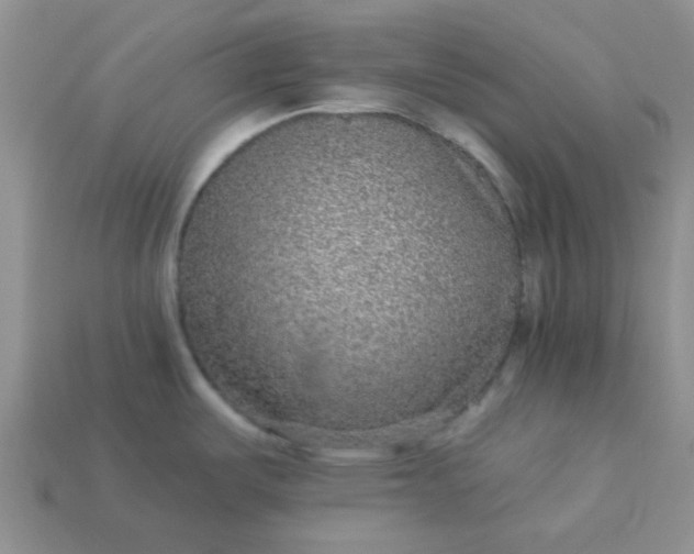 X0000113021487200909101828