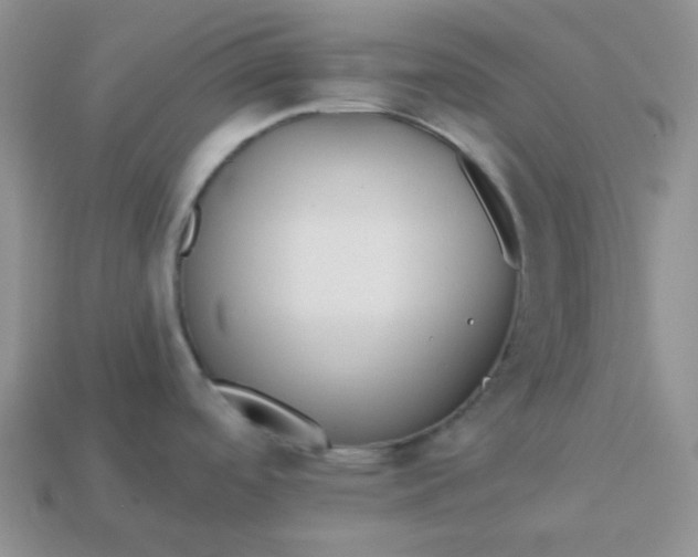 X0000113021488200909101828