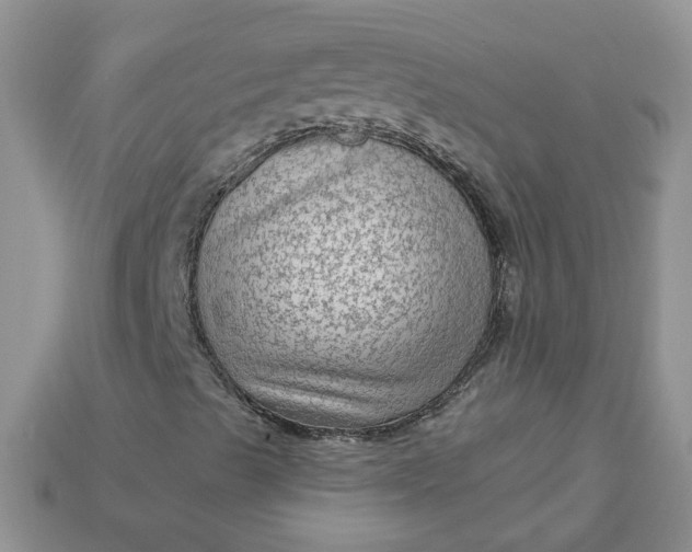 X0000113021489200909101827