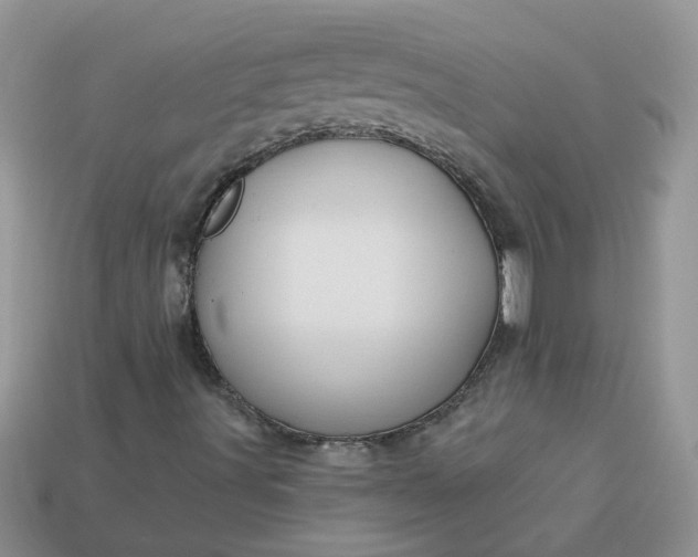 X0000113021491200909101827