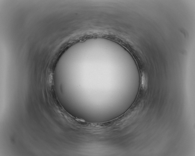 X0000113021492200909101827