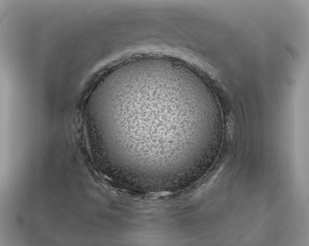 X0000113021494200909101827
