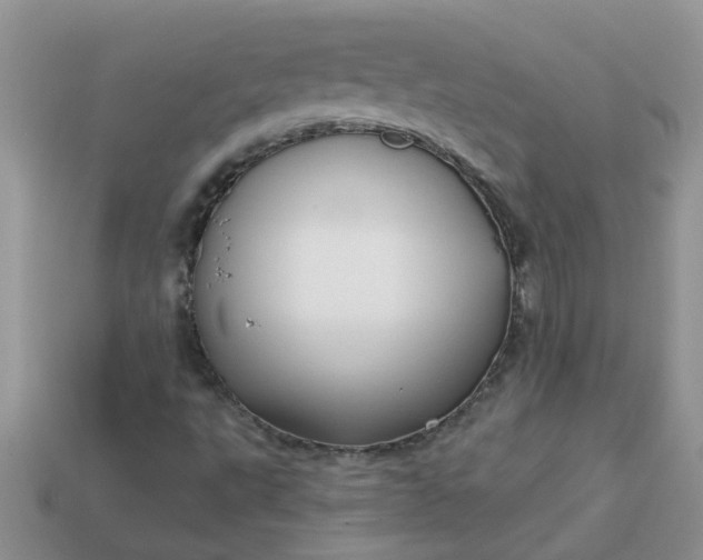 X0000113021495200909101827