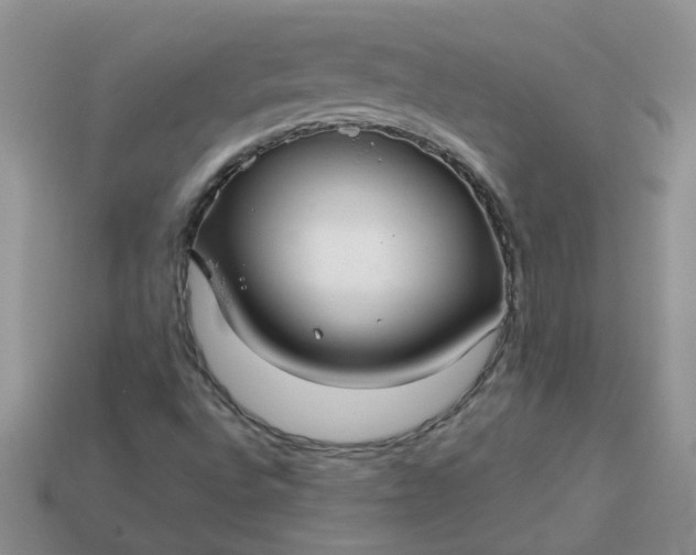 X0000113021496200909101827