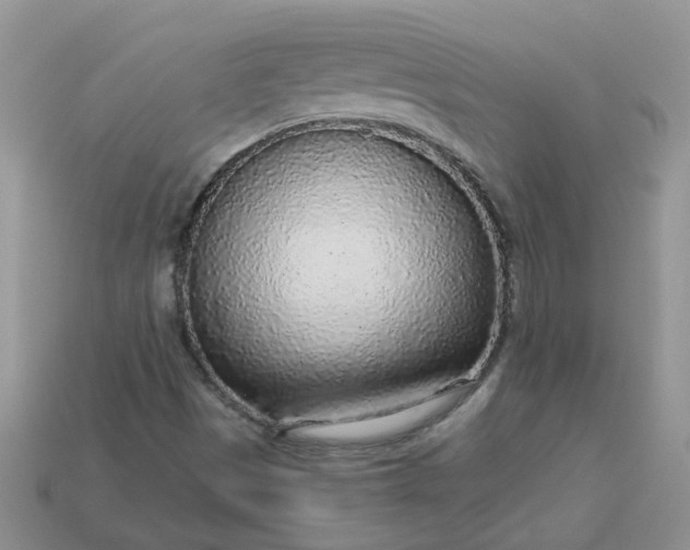 X0000113021497200909101827