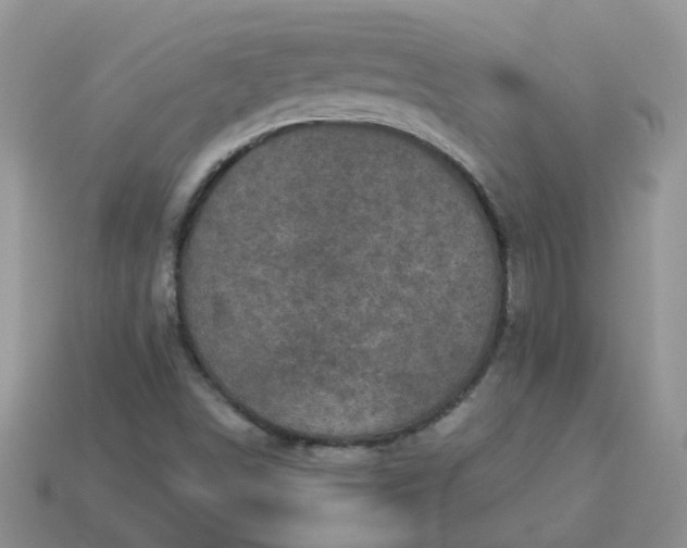 X0000113021498200909101827