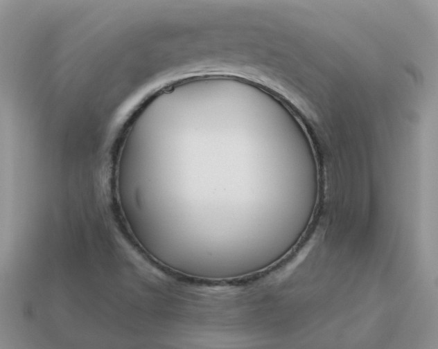 X0000113021502200909101827