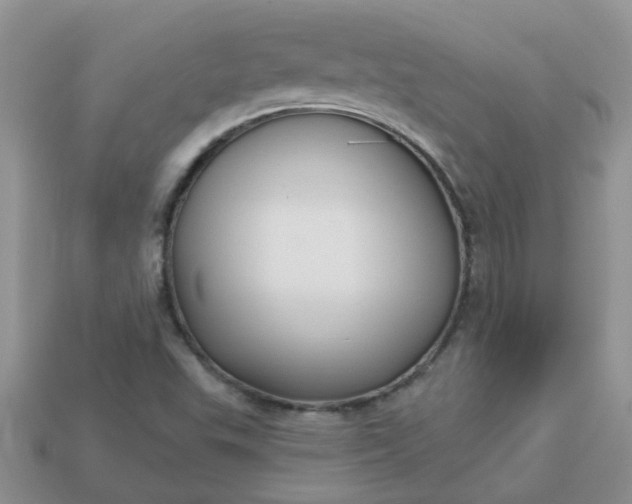 X0000113021503200909101827