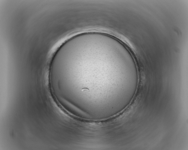 X0000113021504200909101827
