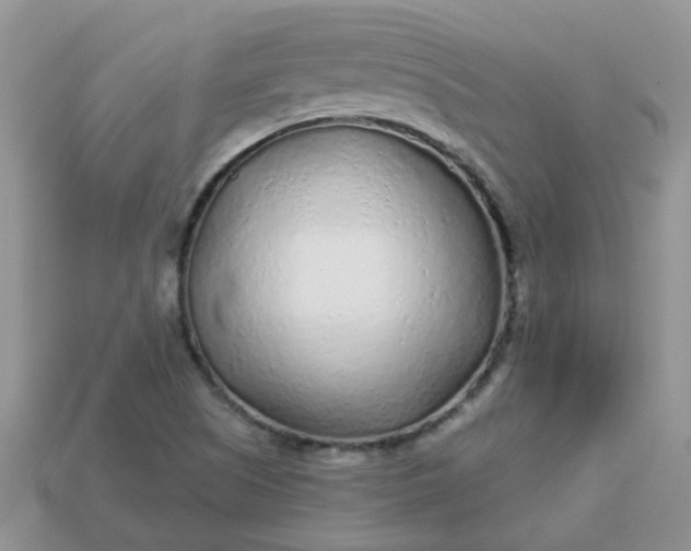 X0000113021505200909101827