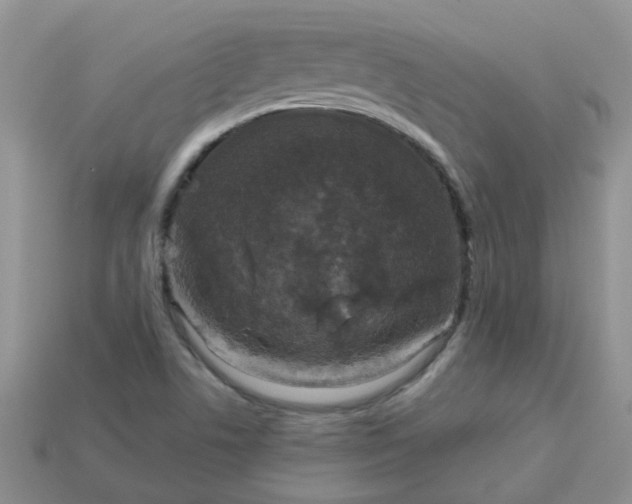X0000113021506200909101827
