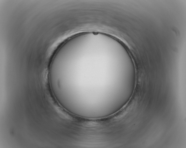 X0000113021507200909101827