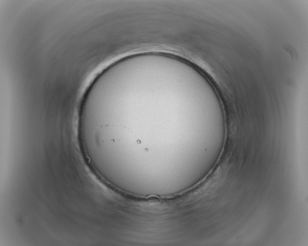 X0000113021508200909101827