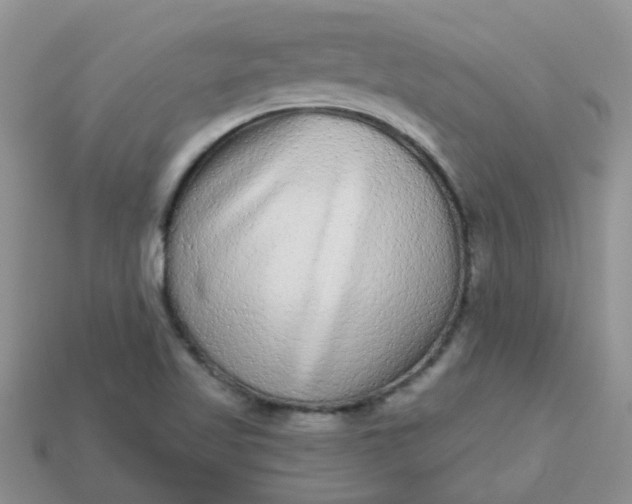 X0000113021509200909101827