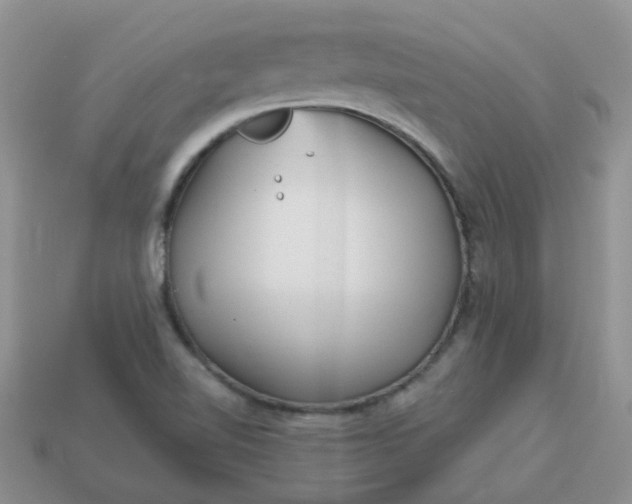 X0000113021510200909101827