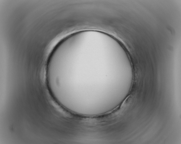X0000113021511200909101827