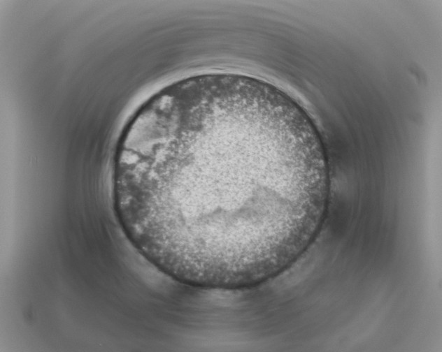 X0000113021514200909101827