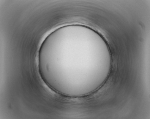 X0000113021516200909101827