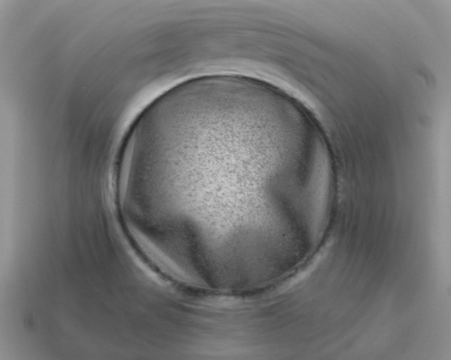 X0000113021517200909101827