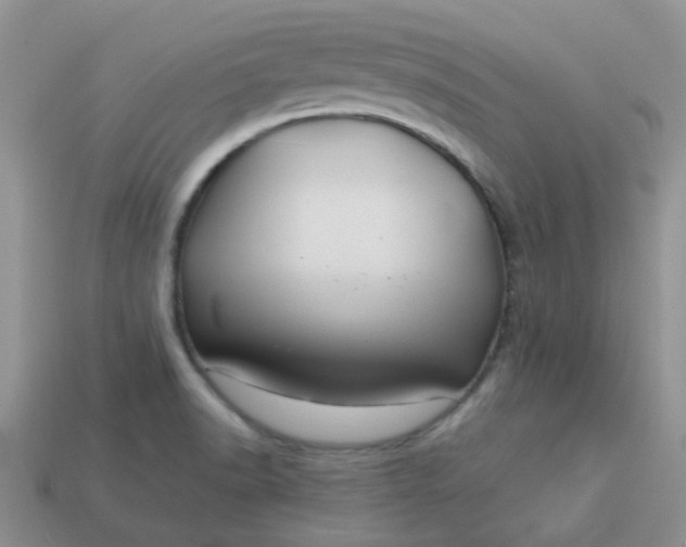 X0000113021518200909101827