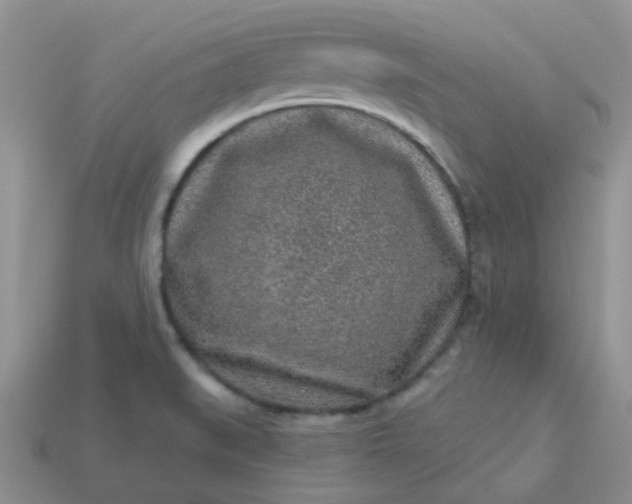 X0000113021519200909101827