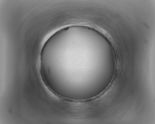 X0000113021520200909101827