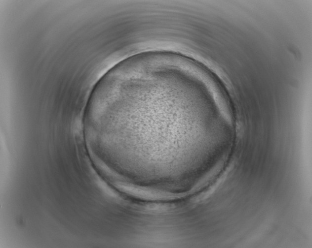 X0000113021521200909101827