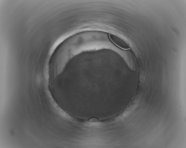 X0000113021522200909101827