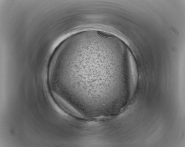 X0000113021523200909101827