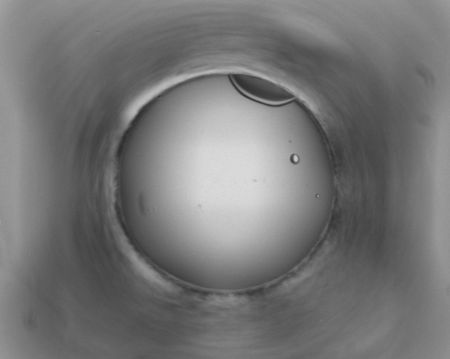 X0000113021526200909101827