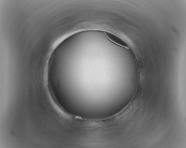 X0000113021528200909101827