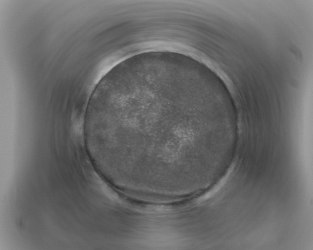 X0000113021529200909101827
