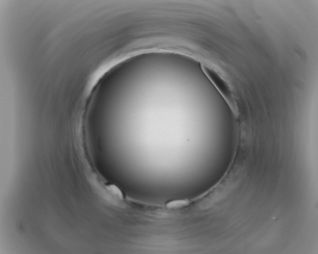 X0000113021530200909101827