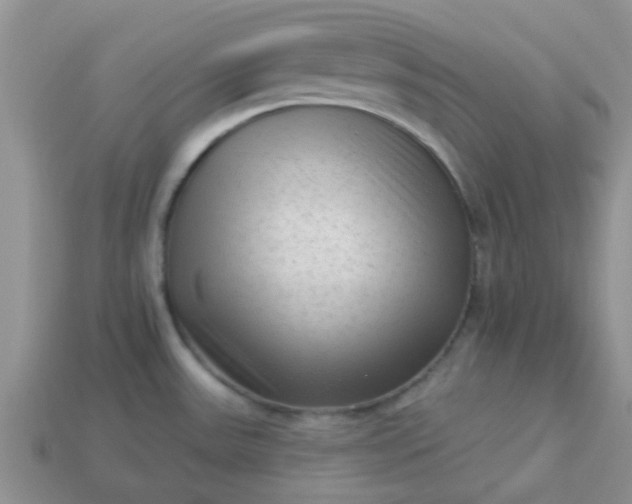 X0000113021531200909101828