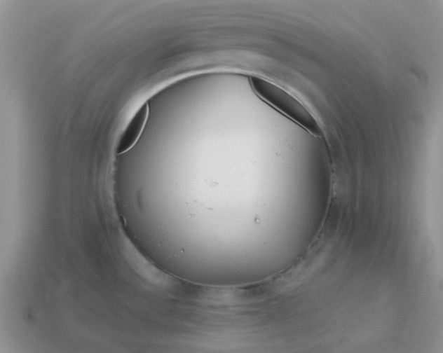 X0000113021532200909101828