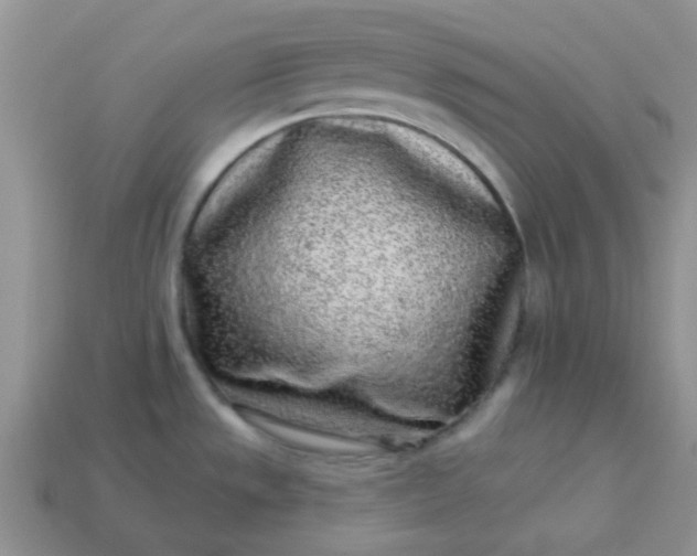 X0000113021533200909101828