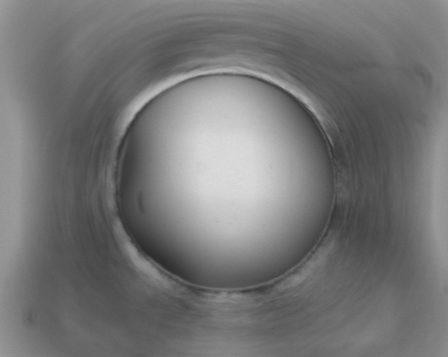 X0000113021534200909101828