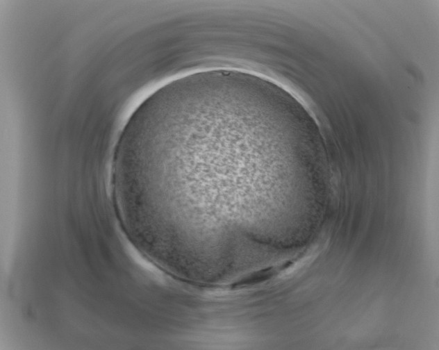 X0000113021535200909101828