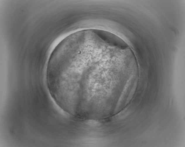 X0000113021536200909101828