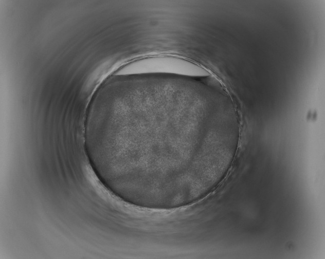 X0000113020002200909171506