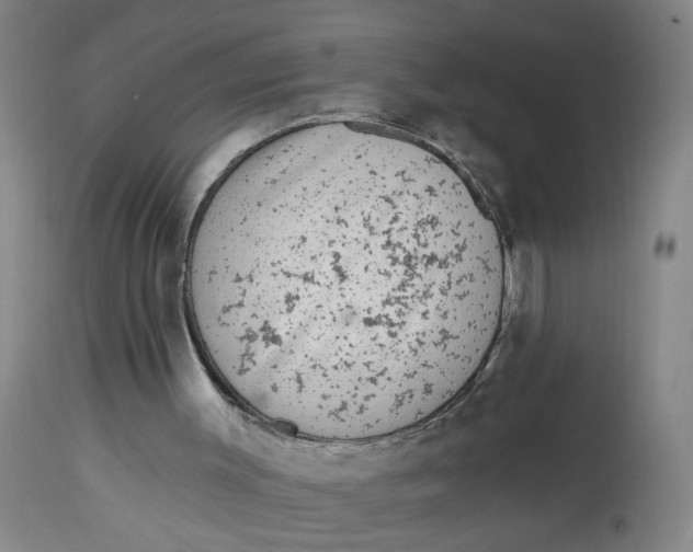 X0000113020003200909171506